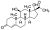 21-Deoxycortisol, 100 µg/mL