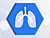 PCR Respiratory Pathogen Assay Kit, 500 Reactions Per Target for 384-Well Configurations