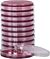 MacConkey Agar, 19 mL, Pack of 10